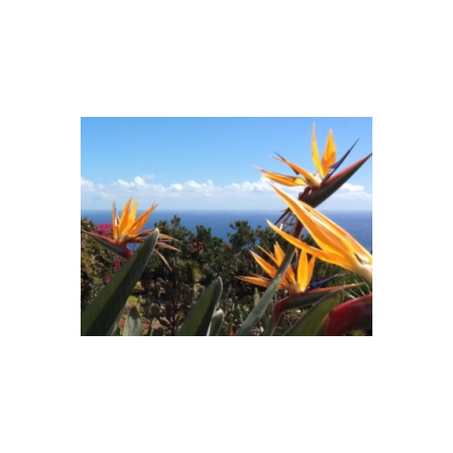 Unbegrenzter Zugang zur Internetseite